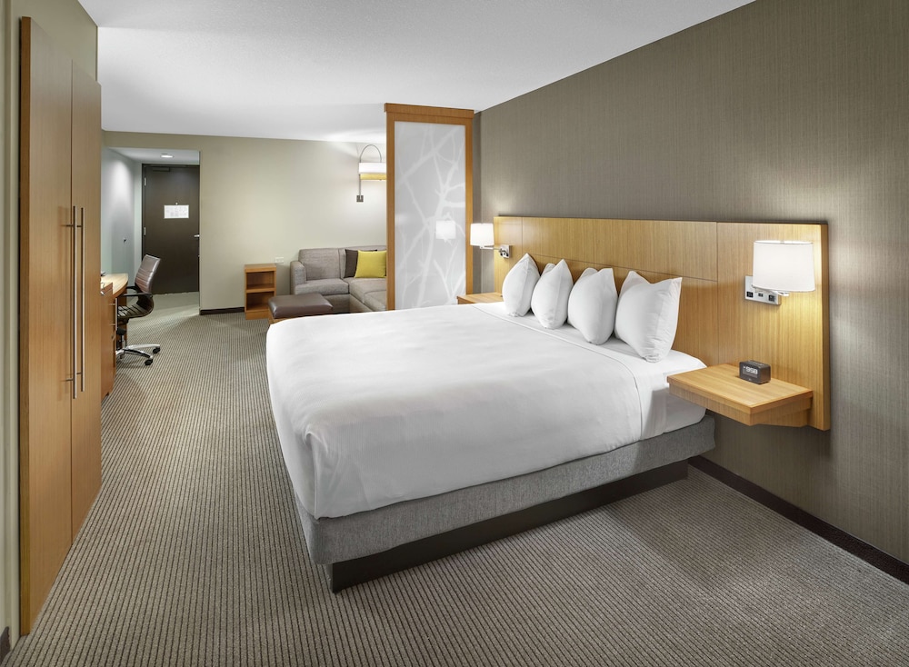 Room, 1 King Bed