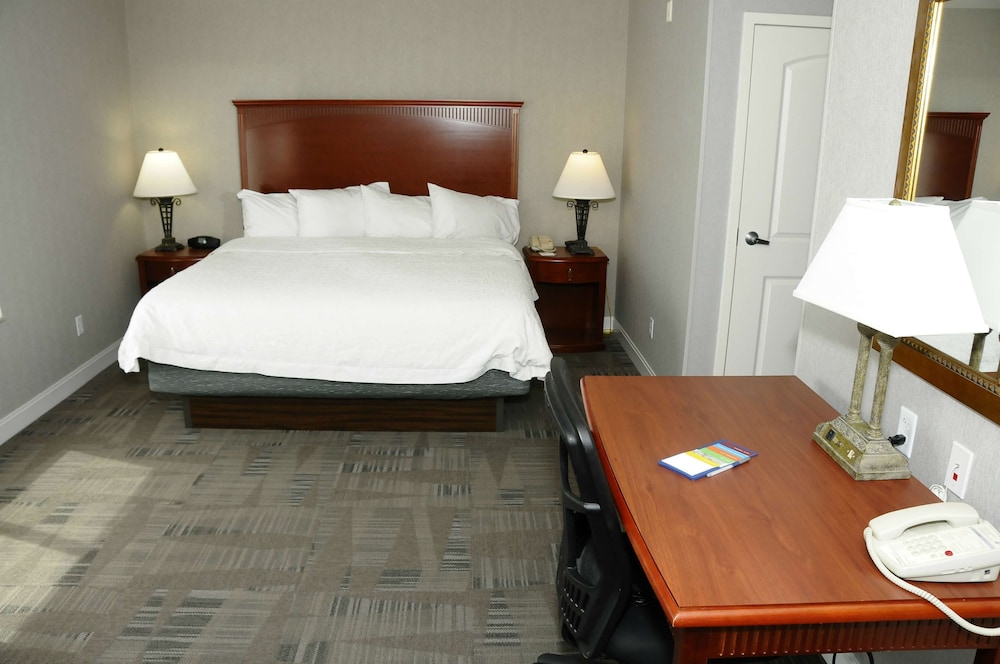 Studio, 1 King Bed, Accessible, Non Smoking - Photo 1