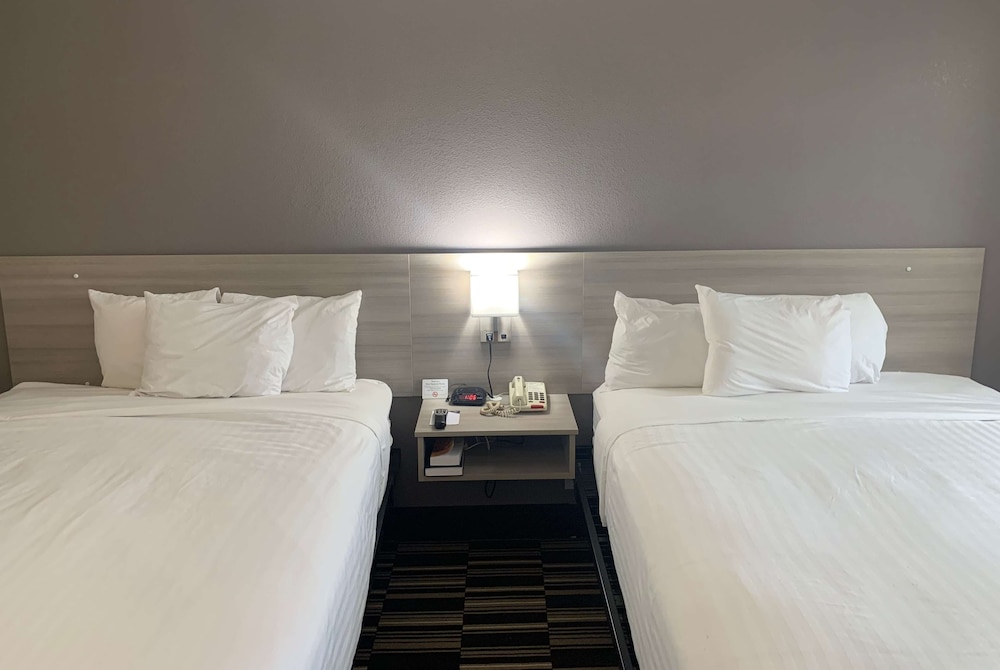 Room, Accessible, Non Smoking (Roll In Shower Refrigerator Microwave)
