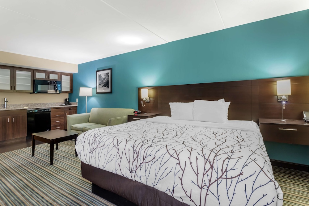 Suite, 1 King Bed, Non Smoking, Kitchenette (with Sofabed) - Photo 1