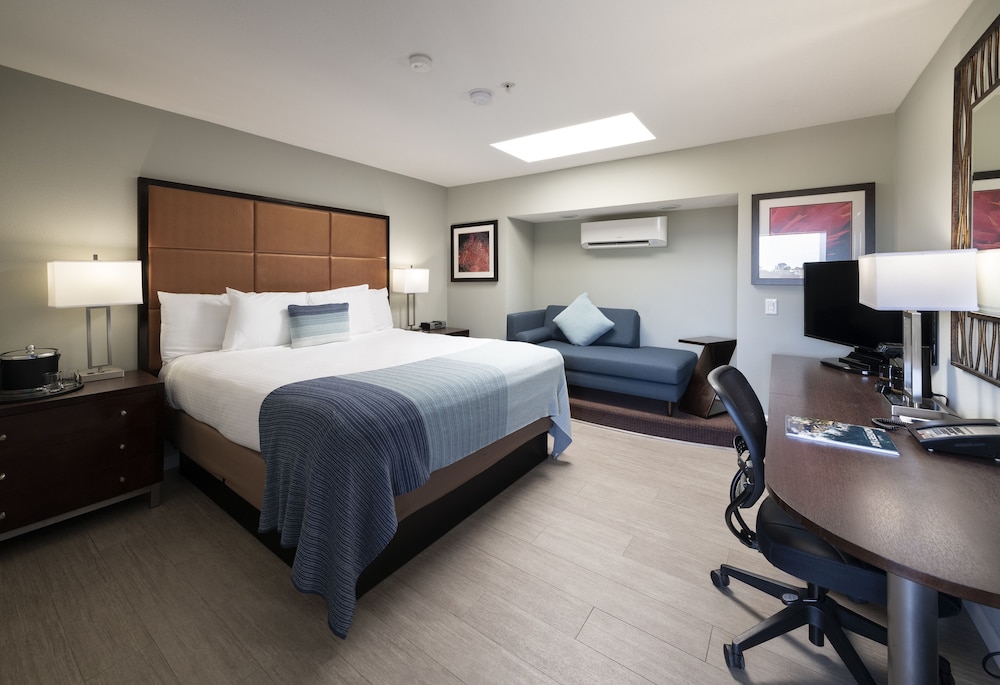 Standard Room, 1 King Bed, Fireplace - Photo 1