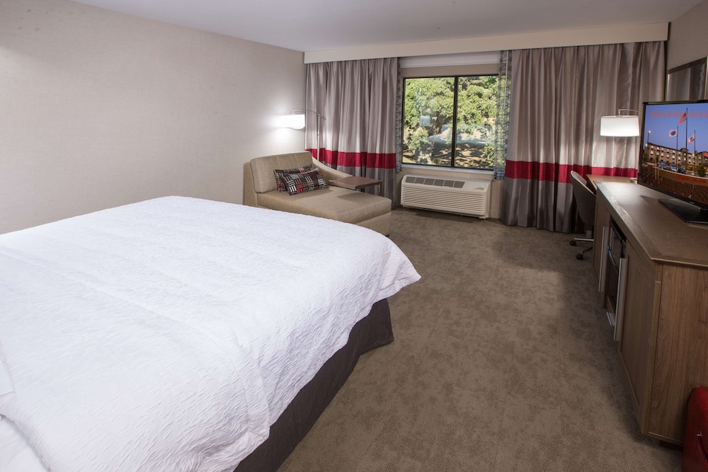 Room, 1 King Bed, Refrigerator