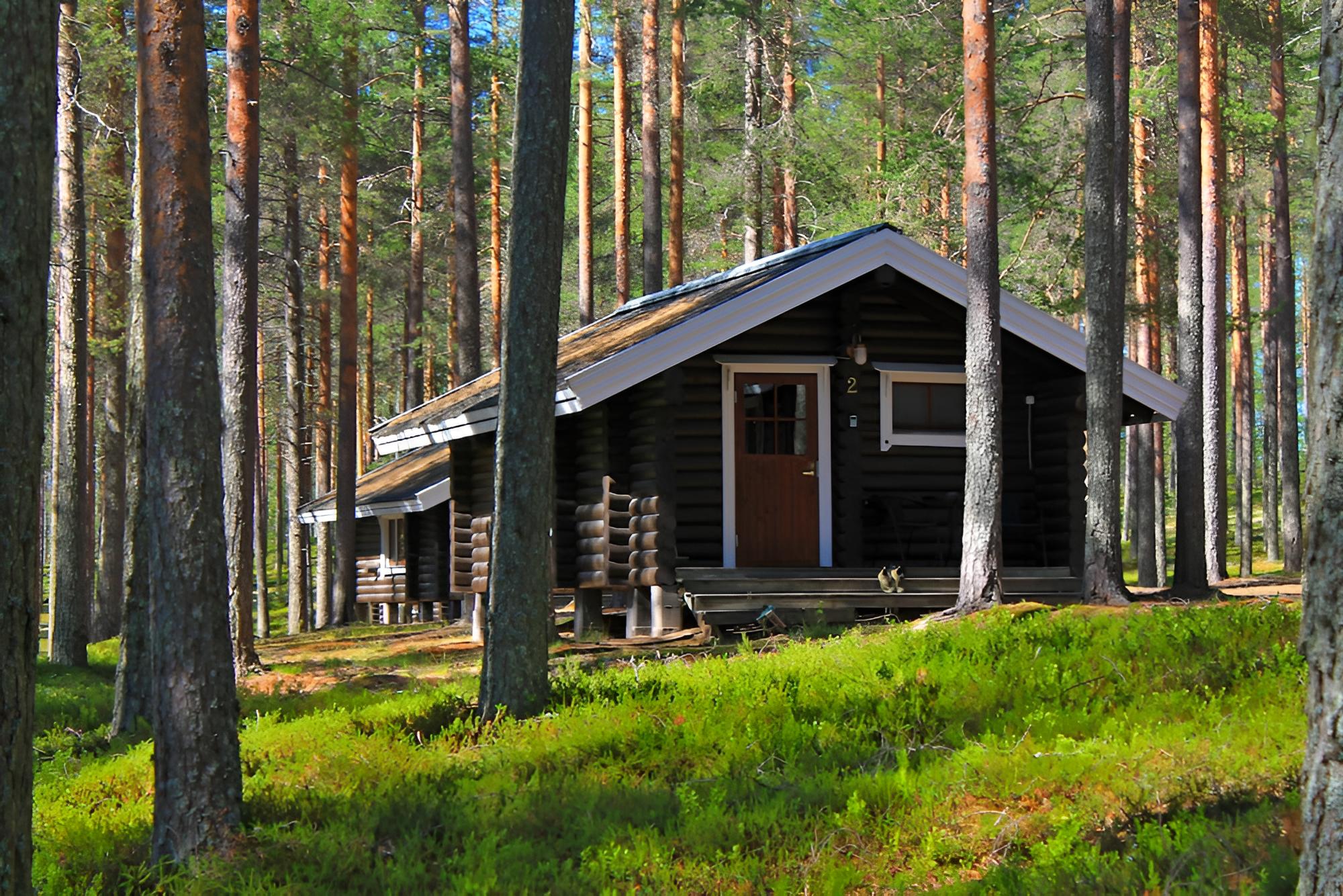 Family Cabin photo 1
