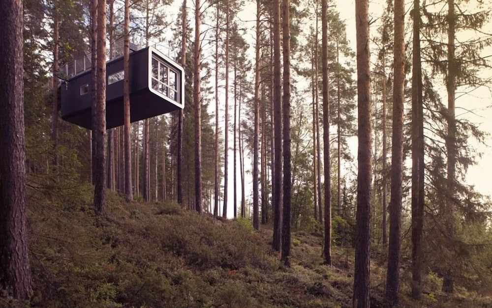 The Cabin photo 2