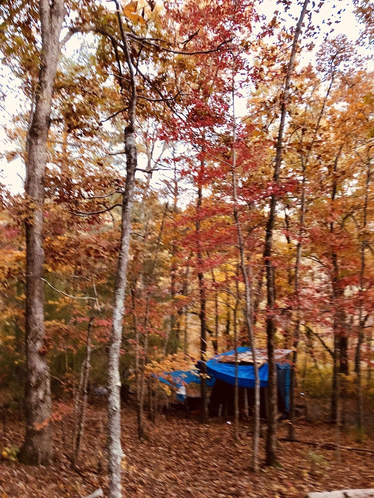 Basic Tree House, 1 Bedroom, Lake View, Mountainside photo 2