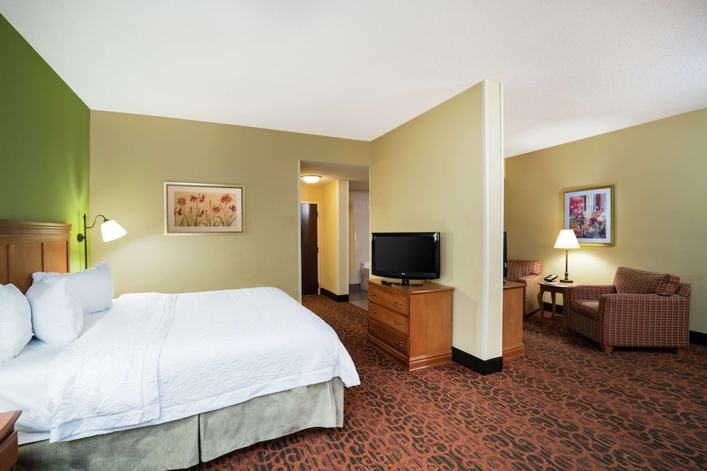 Suite, 1 King Bed, Non Smoking photo 2