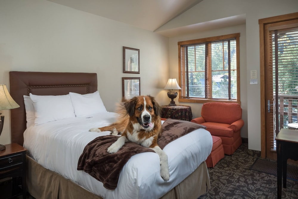 Superior Room, 2 Double Beds - Photo 4