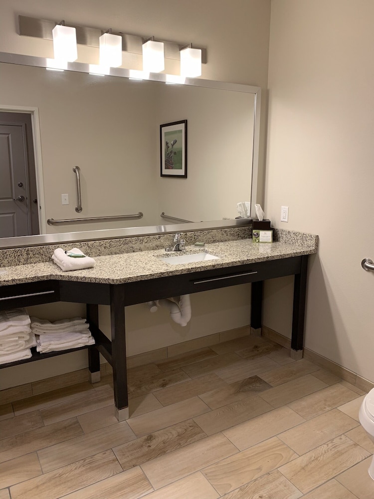 Room, 1 King Bed, Accessible, Non Smoking (Mobility, Roll-in Shower) photo 2