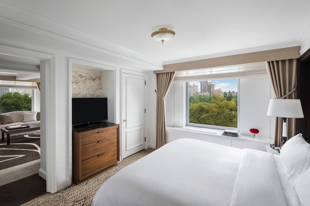 Club Suite, 1 King Bed with Sofa bed, Park View