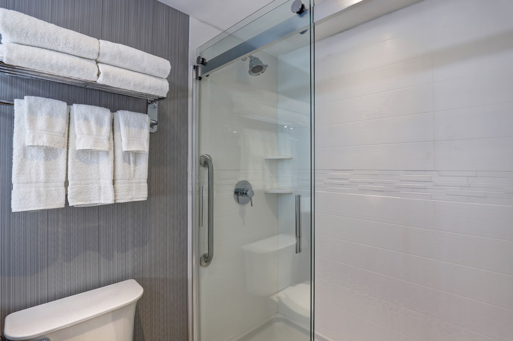 Premium Room, 1 King Bed (Walk-In Shower) - Photo 3