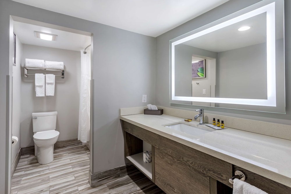 Standard Room, 1 King Bed, Non Smoking, Jetted Tub photo 2