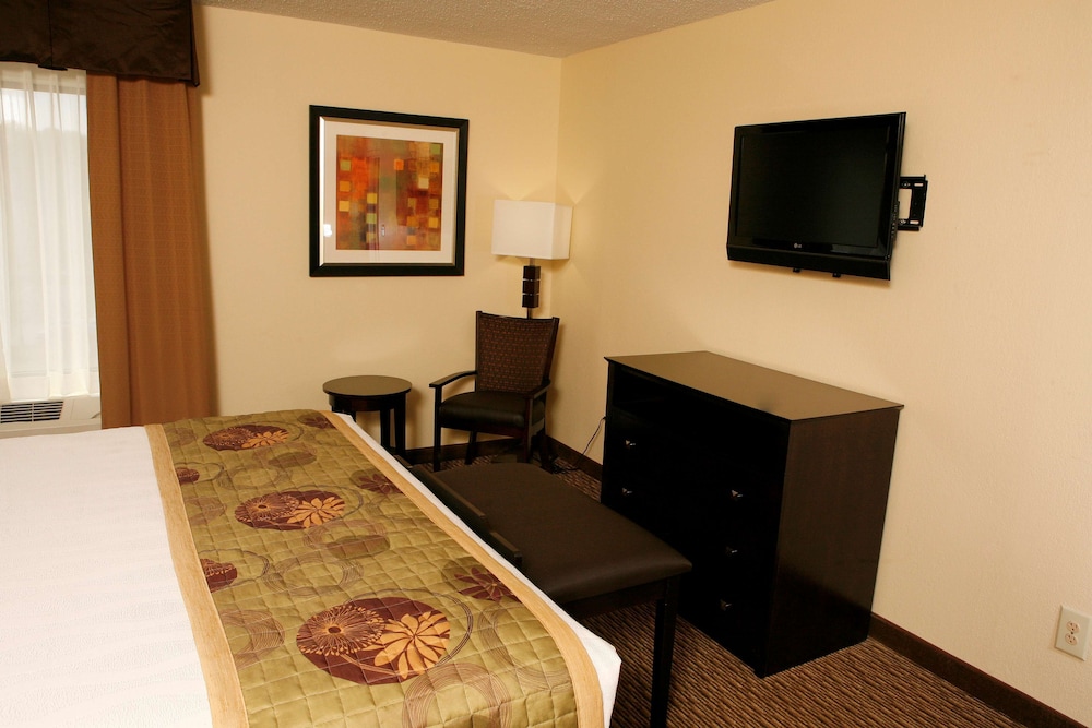 Suite, 1 King Bed, Non Smoking, Jetted Tub (with Sofabed) - Photo 2