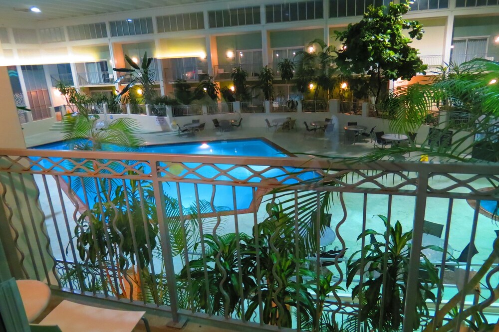 Room, 2 Queen Beds, Non Smoking, Pool View - Photo 5