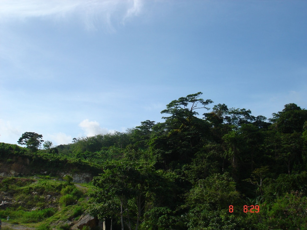 Superior Room - Photo 12