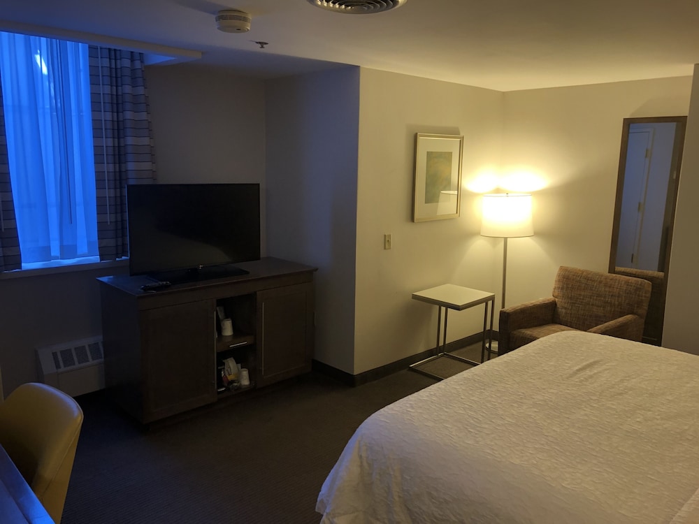 Room, 1 King Bed, Accessible photo 3