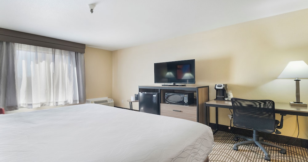 Standard Room, 1 King Bed, Non Smoking, Refrigerator- Pool View - Photo 8