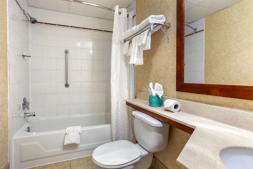 Business Suite, 2 Double Beds with Sofa Sleeper - Photo 4