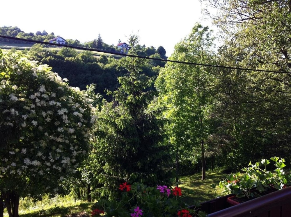 Studio (Dalija - Beautiful Nature And View - ) photo 1