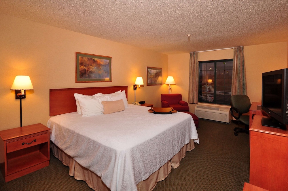 Room, 1 King Bed