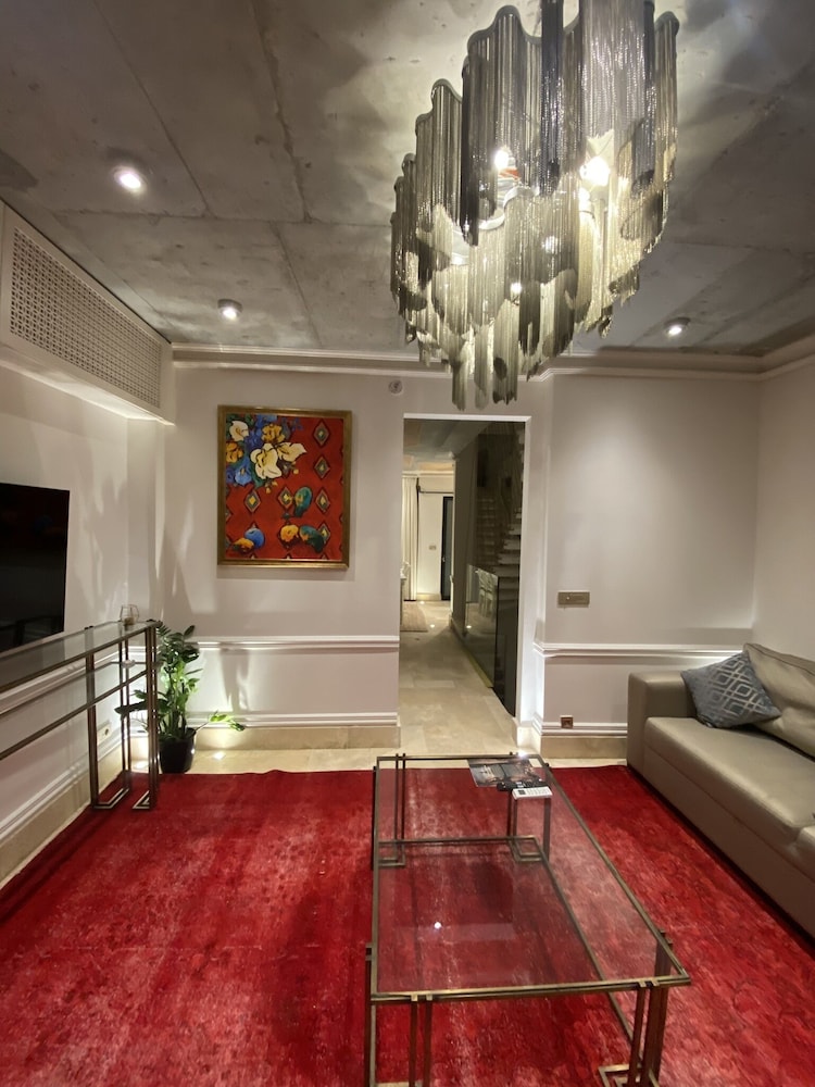 Premium Villa photo 1