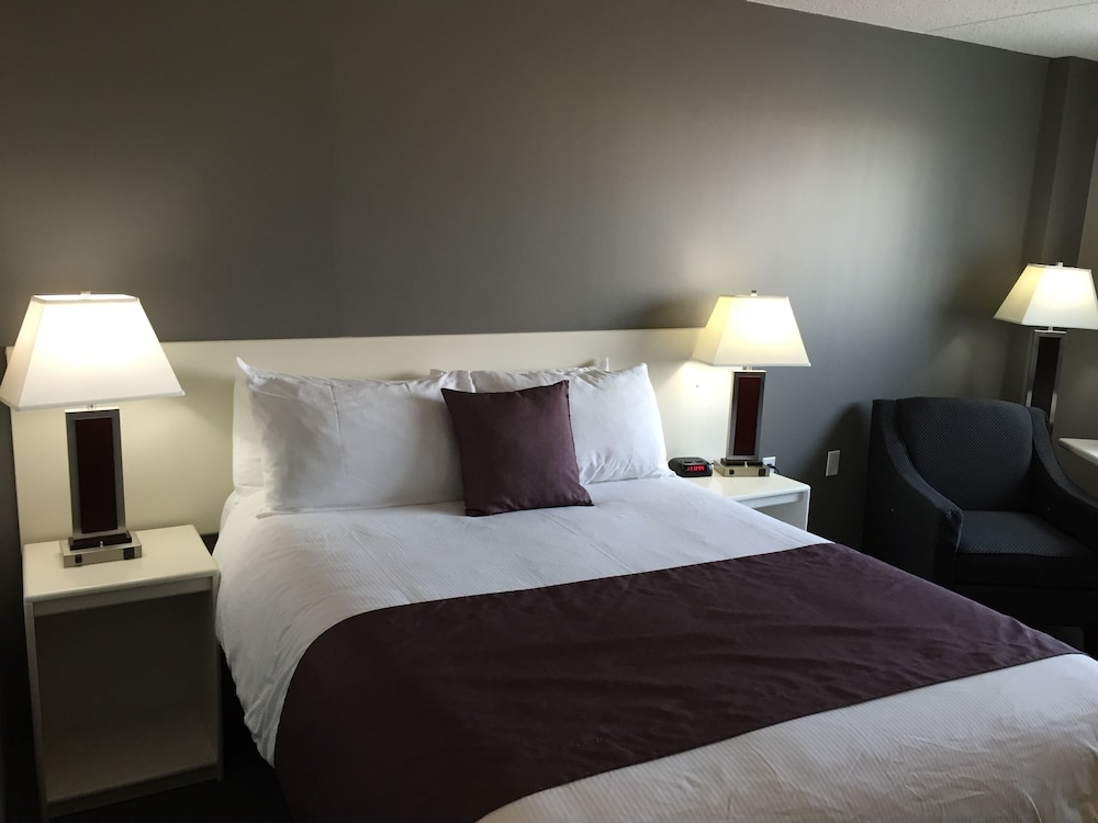 Executive Room photo 3