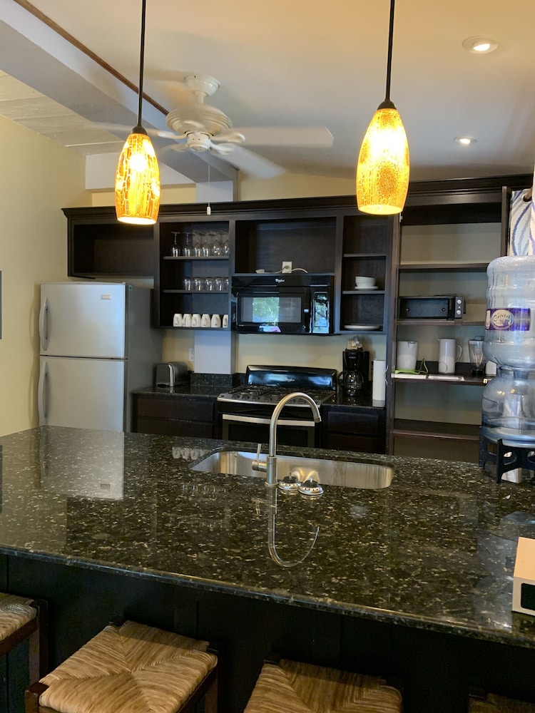 Executive Suite, Patio, Beachside photo 1