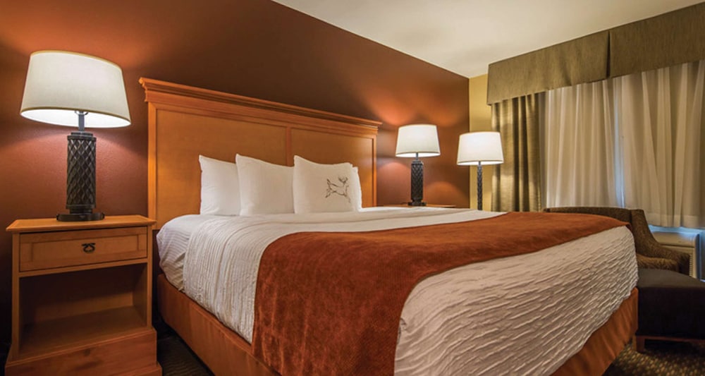 Suite, 1 King Bed, Non Smoking, Kitchenette (with Sofabed) photo 3