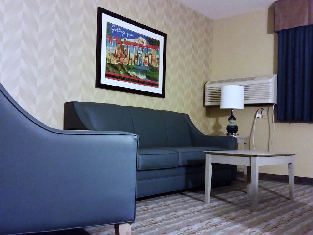 Studio Suite, Multiple Beds photo 2