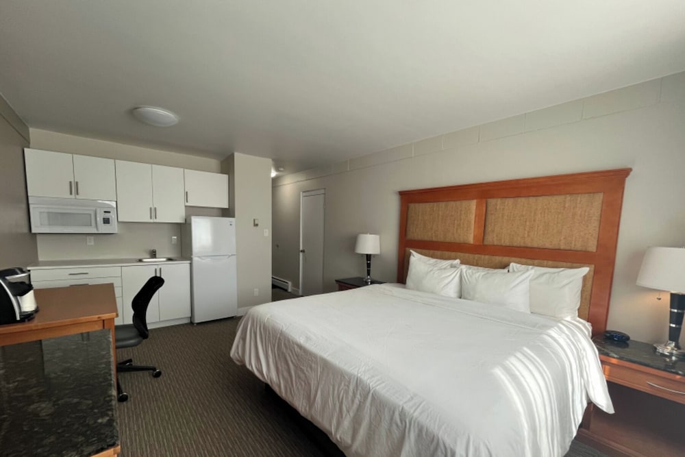 Deluxe Studio, 1 King Bed, Kitchenette photo 1