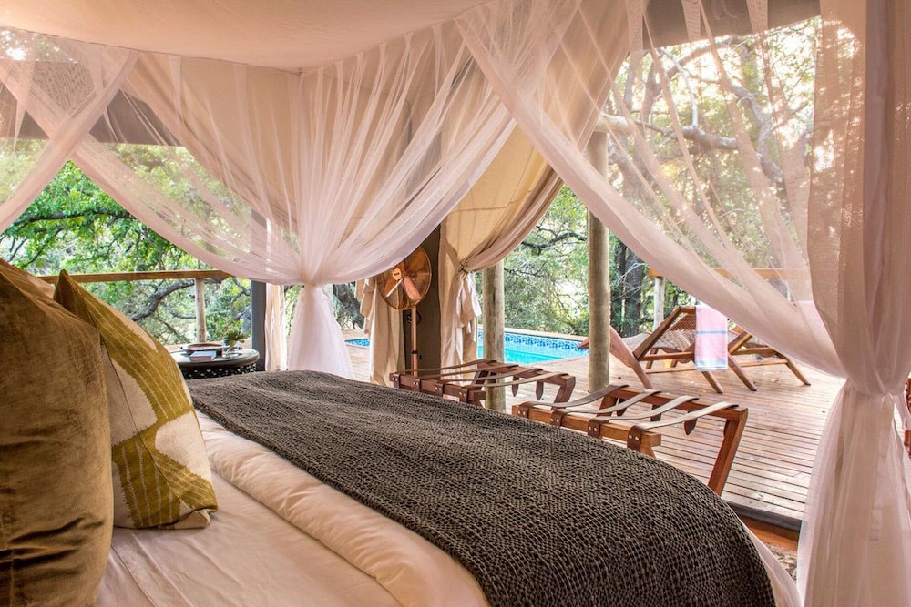 Luxury Tent (Tent 1) photo 3