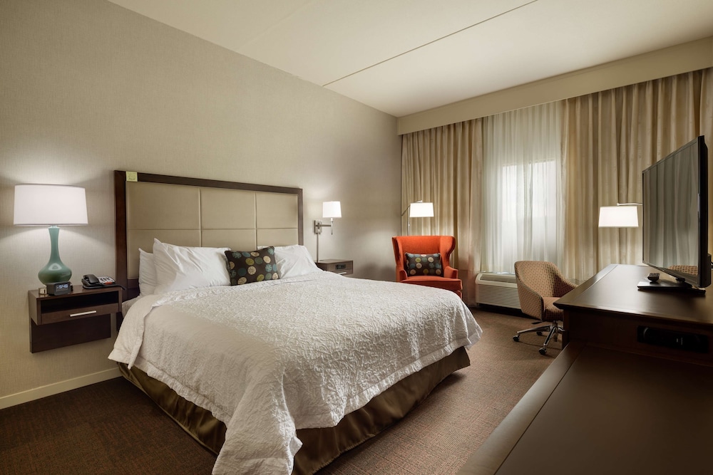 Room, 1 King Bed, Non Smoking, Jetted Tub