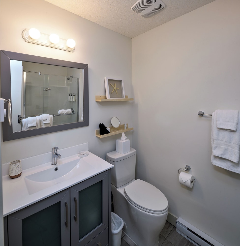 Deluxe Studio Suite photo 2