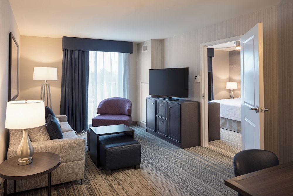 Suite, 1 King Bed, Accessible (Hearing) photo 3
