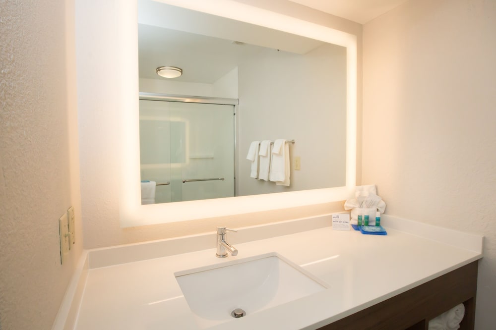 Room, 1 King Bed, Accessible (Communications, Roll-In Shower) - Photo 9