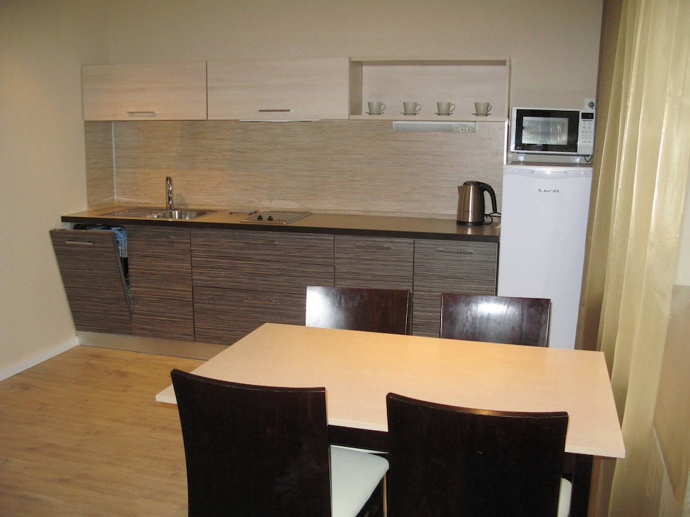 Apartment, 1 Bedroom, Kitchen,  Neva river view photo 3