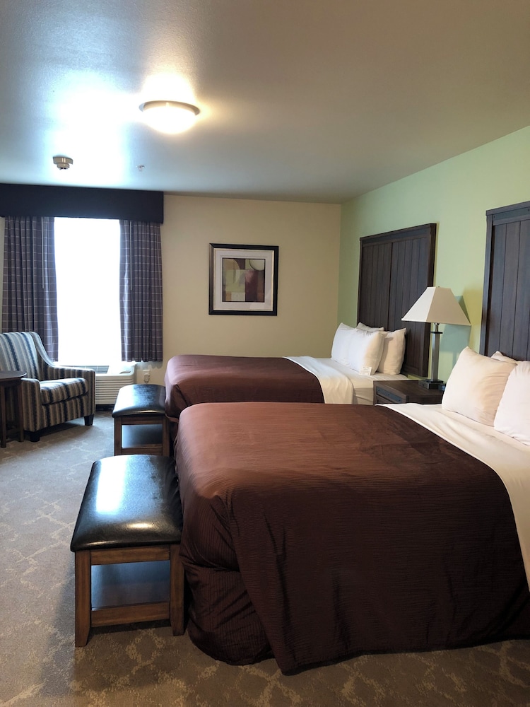Deluxe Studio Suite, 2 Queen Beds, Kitchenette photo 3
