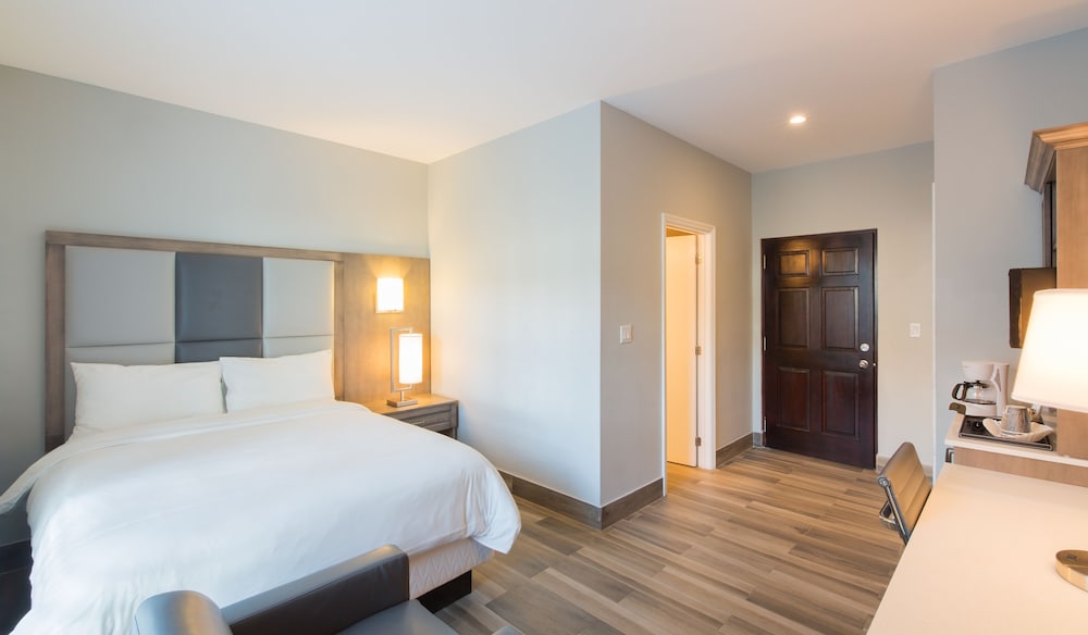 Room, 1 Queen Bed