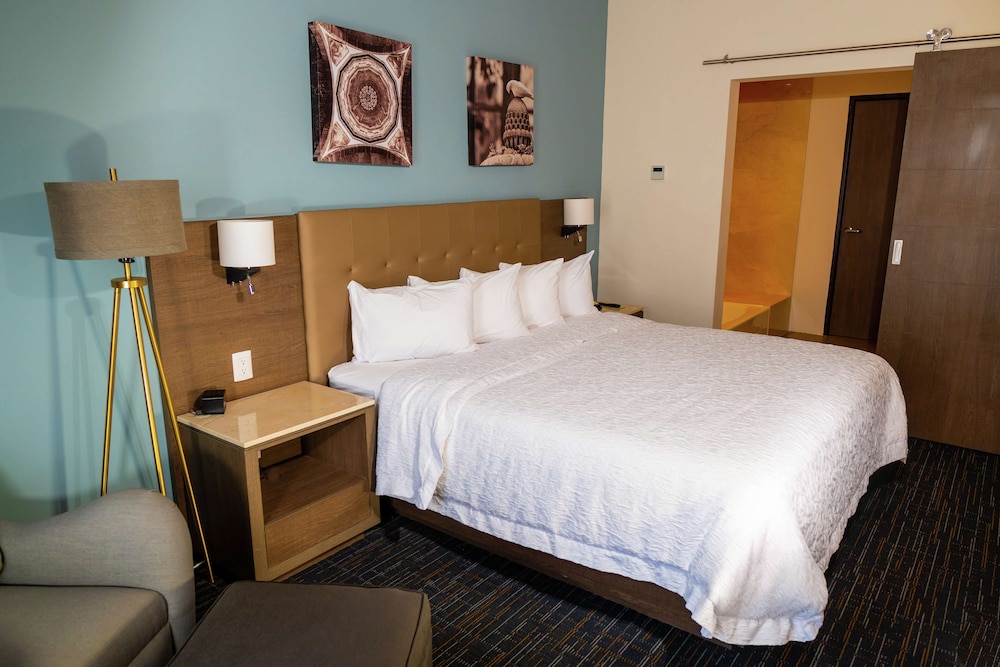 Suite, 1 King Bed, Non Smoking, Refrigerator & Microwave (Wet Bar)