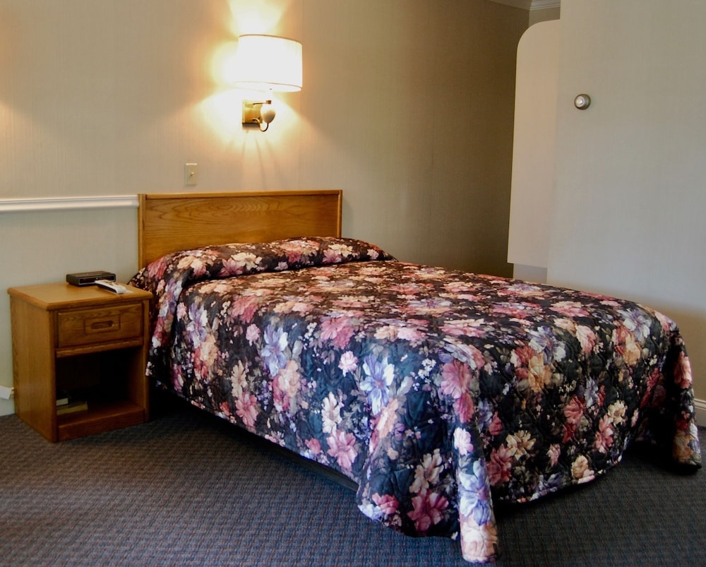 Room, 1 Queen Bed (Front View) photo 1