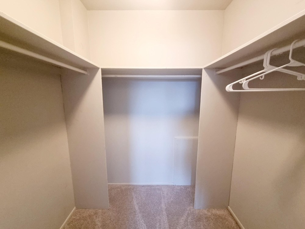 Great Clean Modern Long Term, 사진 9