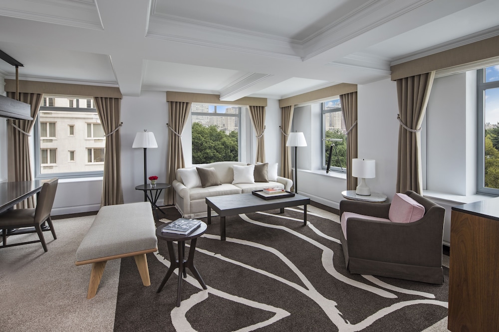 Club Suite, 1 King Bed with Sofa bed, Park View