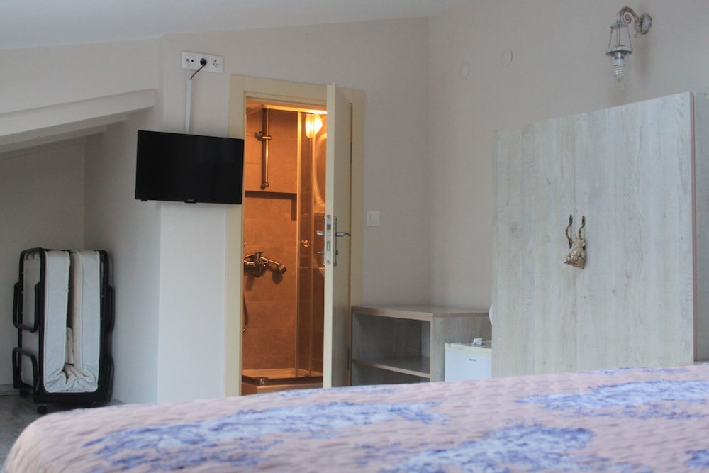 Superior Triple Room photo 2