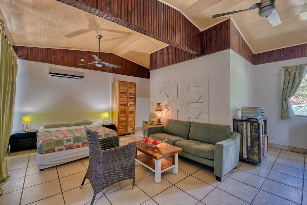 Basic Studio Suite