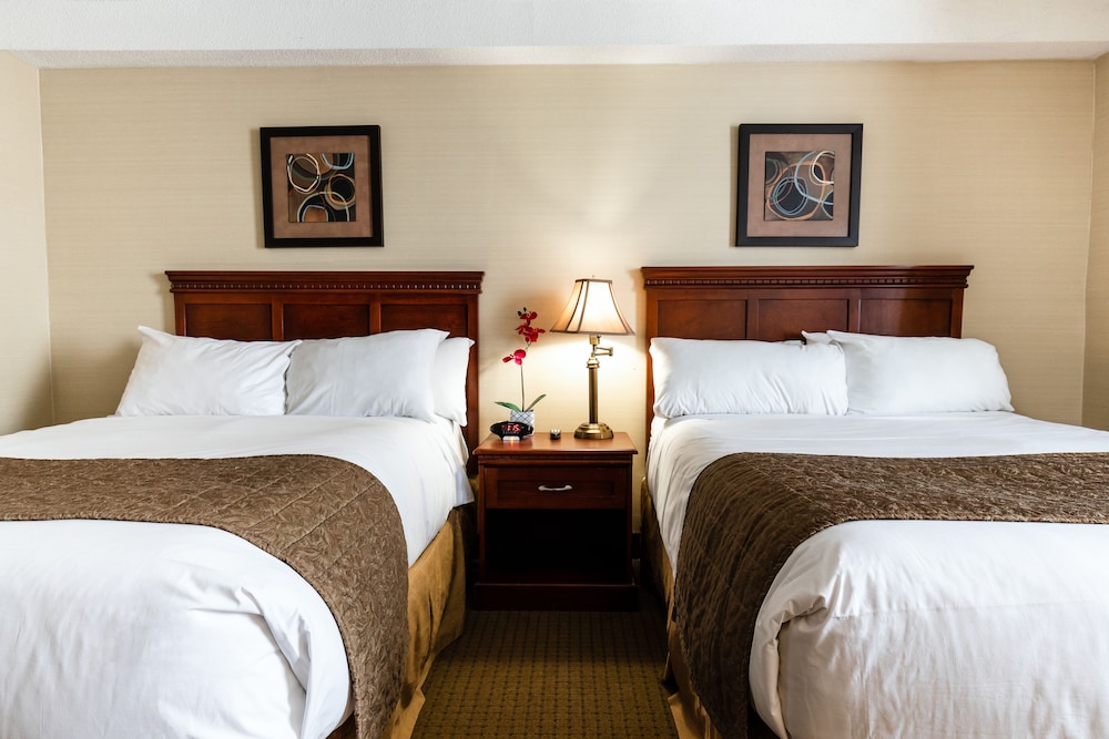 Traditional Room, 2 Double Beds