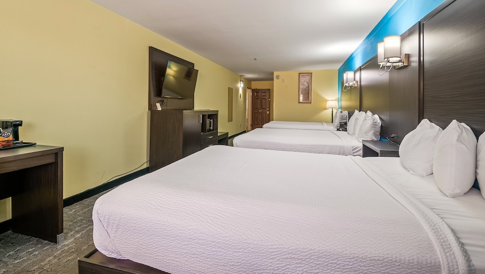 Room, Multiple Beds, Non Smoking, Refrigerator & Microwave photo 1