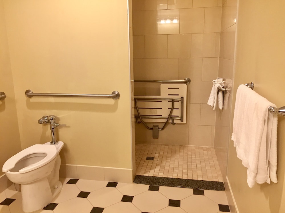 Suite, 1 King Bed With Sofa Bed, Accessible (Plaza Suite) - Photo 6