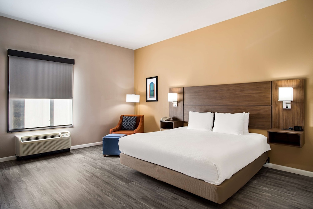 Standard Room, 1 King Bed, Accessible, Refrigerator & Microwave - Photo 1