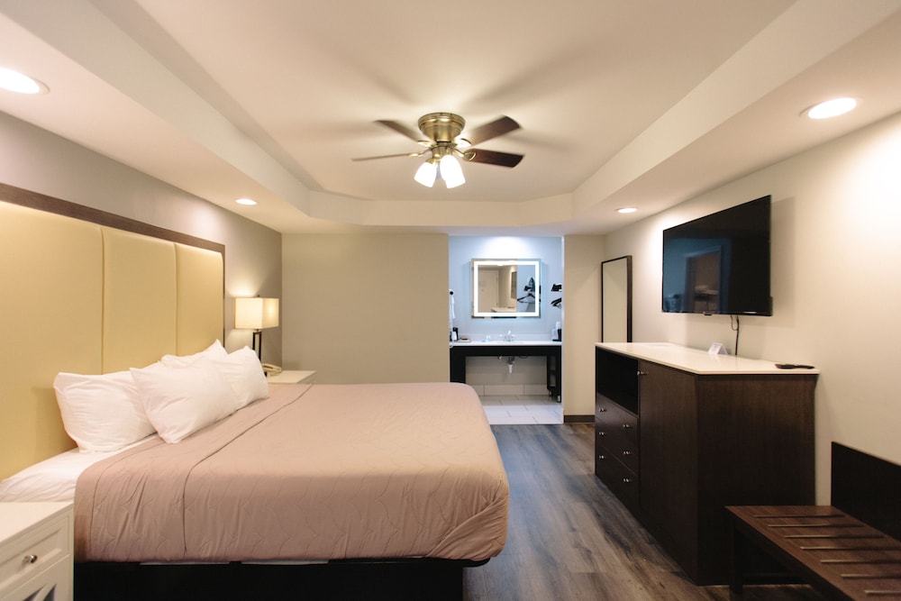 King Room photo 1