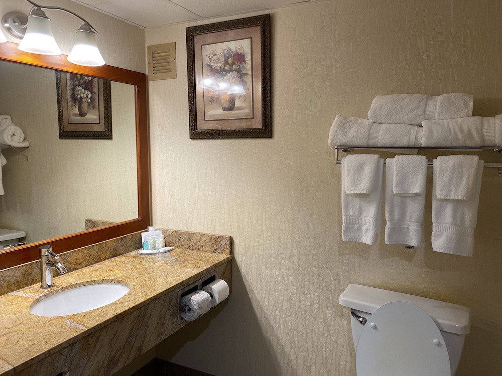 Room, 1 King Bed, Non Smoking (Upgrade) - Photo 4