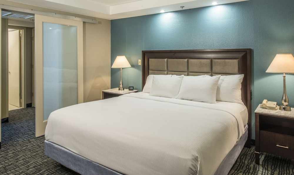 Junior Suite 2 Queens - Photo 4